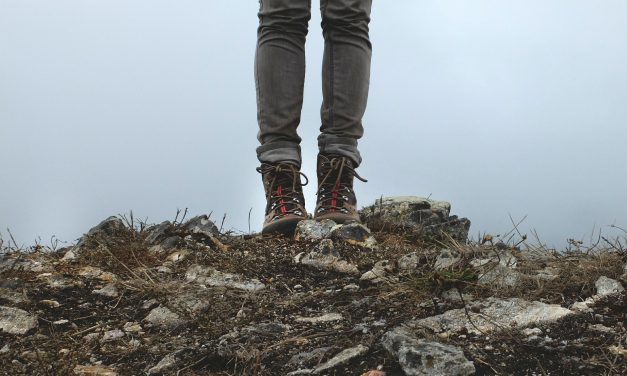Should you wear shorts or pants when hiking?
