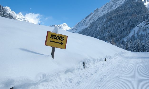 Types of Snow Shelters For Sub-Zero Temperatures