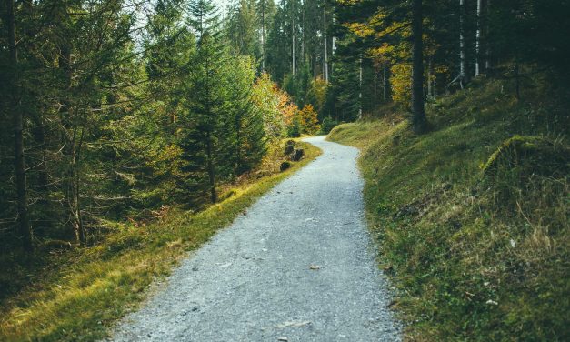 The difference between a hiking trail and a walking trail