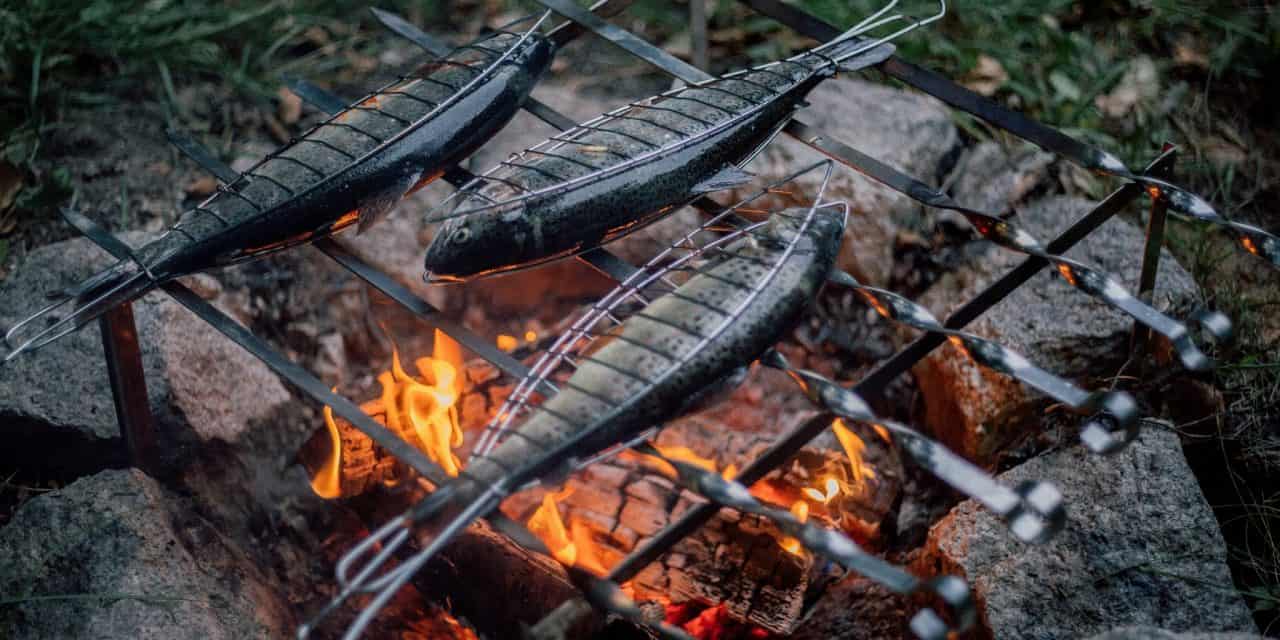 A Guide To Campfire Cooking For Beginners