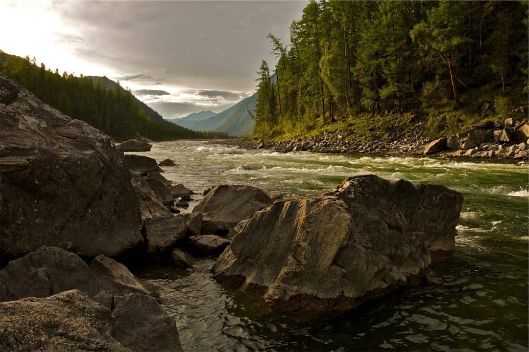 how-to-find-drinkable-water-in-the-wilderness-able-camper