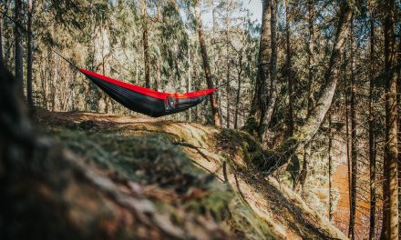 The 5 Best Hammock Tents For Camping