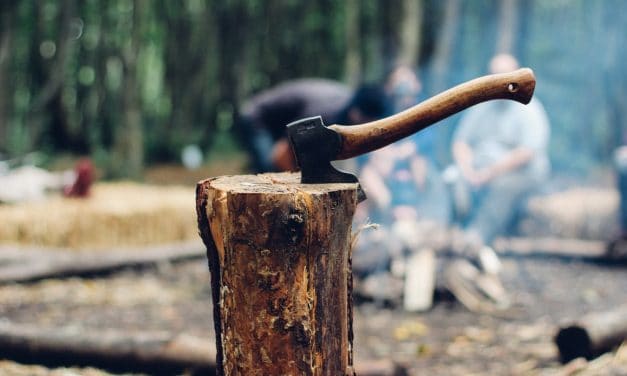 The 5 Best Axes For Camping In 2021