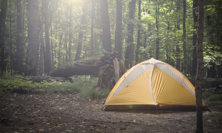 Which Backpacking Shelter is the Best?