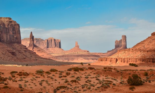 11 Top Tips To Survive In The Desert