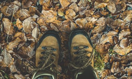 Top 5 Vegan Hiking Boots For 2021
