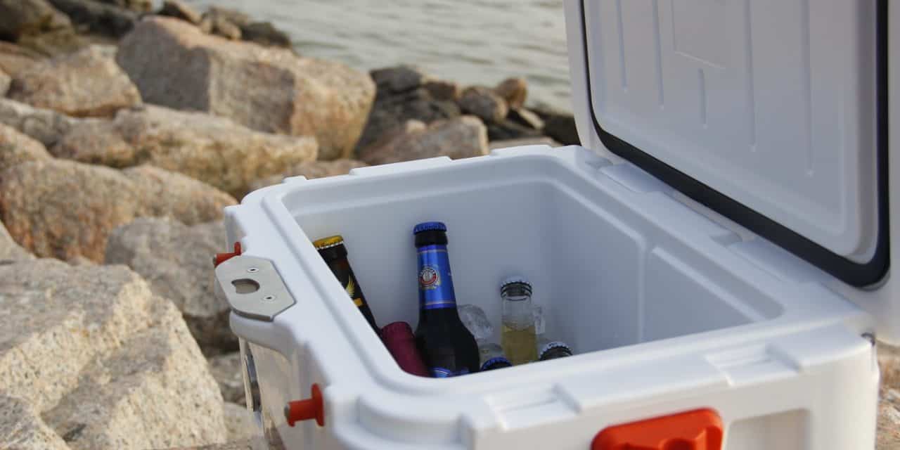 5 Best Coolers: Keep Food & Drink Cold In 2021