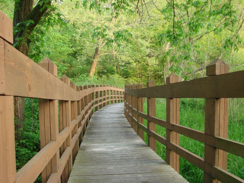 Walking bridge in Wallace State Park