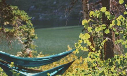 9 Essential Hammock Camping Tips For Beginners