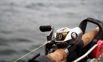 5 Best Braided Fishing Lines in 2021