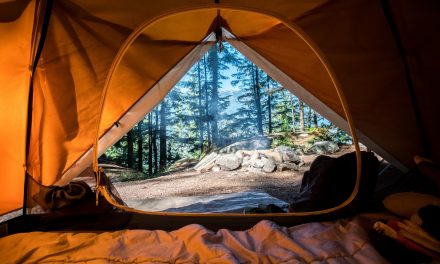 5 Best Comfy Air Mattresses For Camping In 2021
