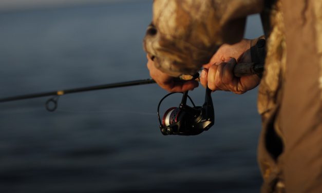 The 5 Best Spinning Reels Under $100 in 2021